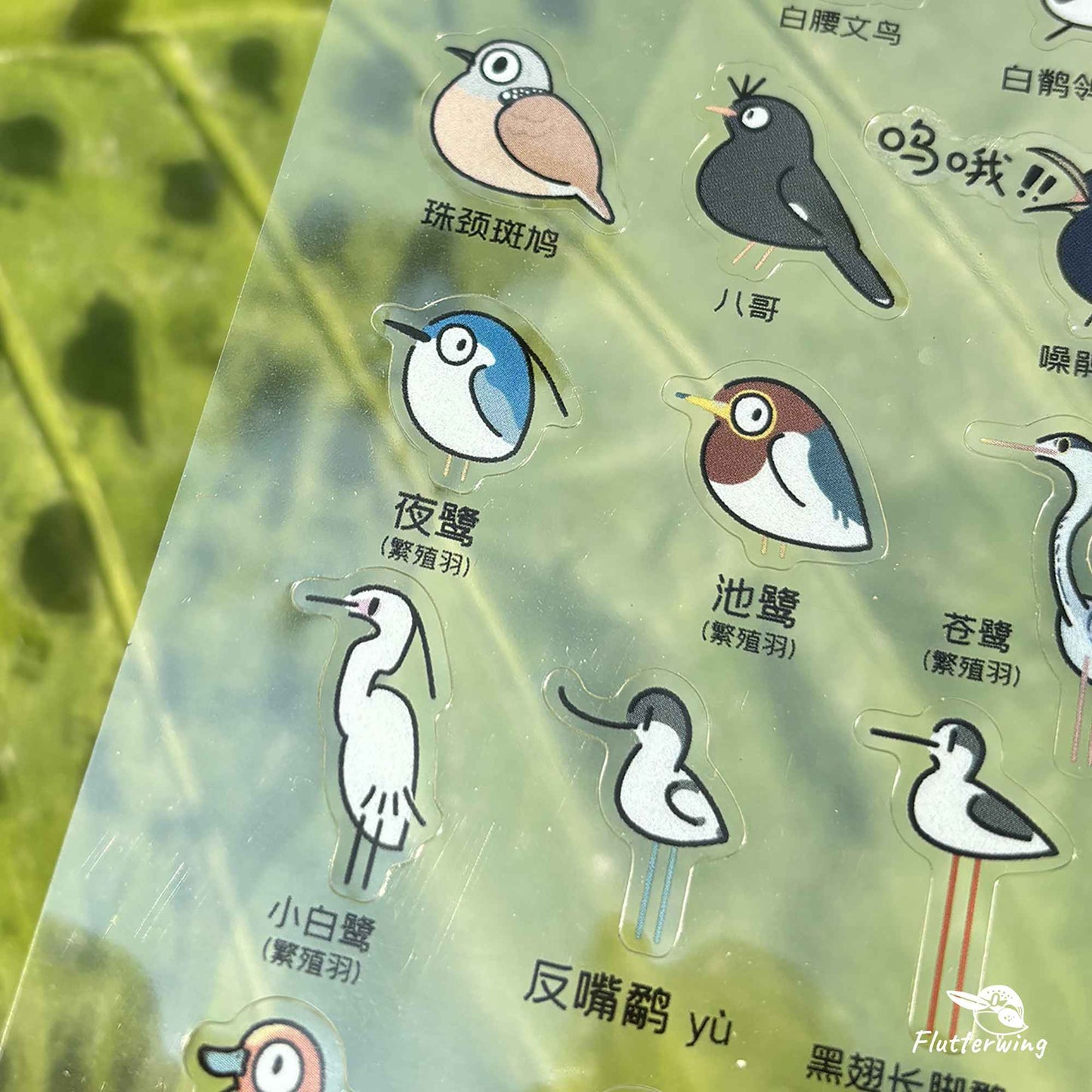 Bird Stickers