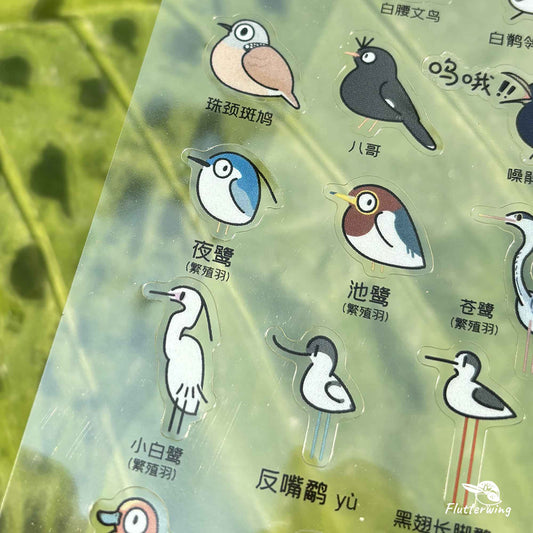 Bird Stickers
