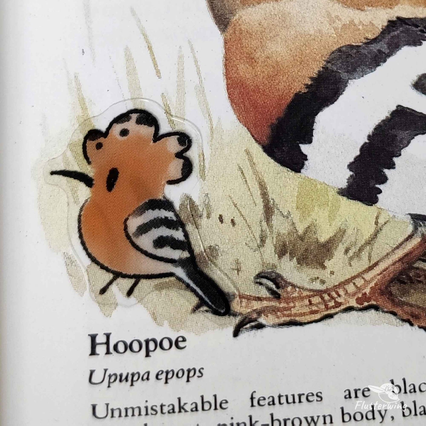 Stickers of precious birds in ancient paintings